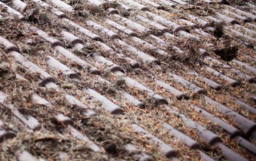 Colthouse roof cleaning companies